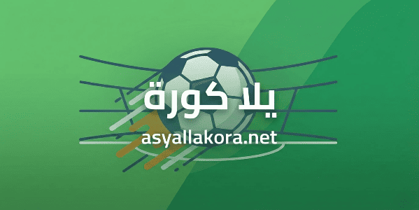 الاهلي يستضيف يانج أفريكانز في دوري ابطال افريقيا